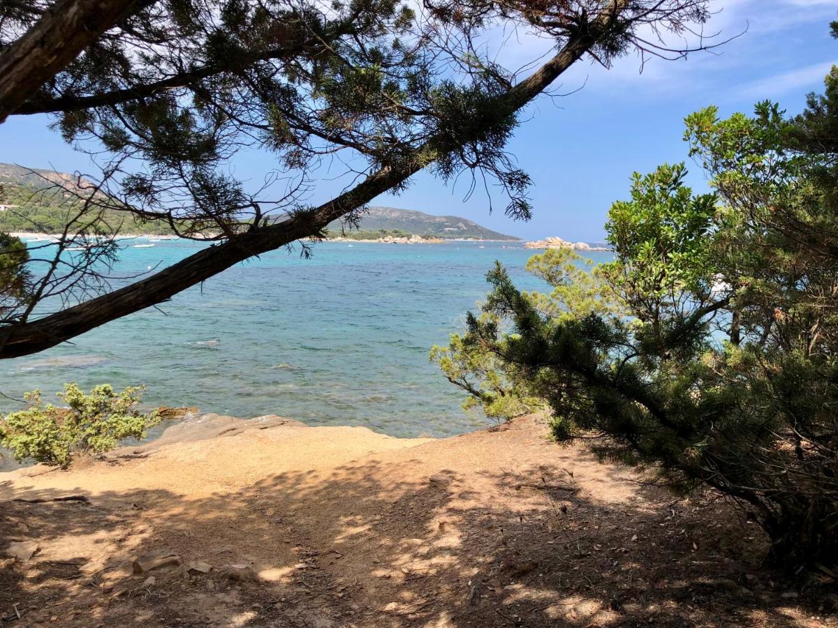 Superbe Appartement Sur Le Port, Jacuzzi, Piscine Porto-Vecchio  Kültér fotó